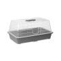 Serre Ibergarden Gris Transparent Plastique 38,4 x 17,5 x 24,7 cm 38,4 x 18 x 24 cm (8 Unités)