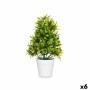 Plante décorative Ibergarden Plastique 18 x 35 x 16 cm (6 Unités)