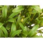 Decorative Plant Ibergarden Plastic 18 x 35 x 16 cm (6 Units)
