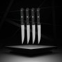 Knife Set Nirosta