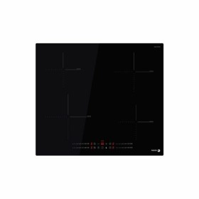 Induction Hot Plate Fagor