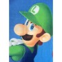 Blanket Mario Bros 25 x 7 x 13 cm Multicolour animals