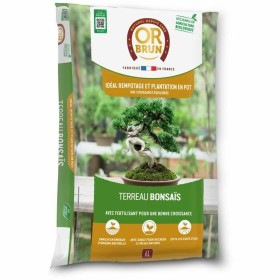 Potting compost OR BRUN BROWN GOLD 6 L
