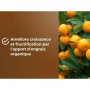 Potting compost OR BRUN 6 L Citrus
