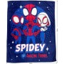 Blanket Spidey 23 x 9 x 26 cm animals