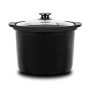 Saucepan Cecotec 02028 Black 6 L