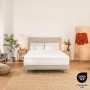 Mattress protector Cecotec Flow ProtectMattress 2000 White Double