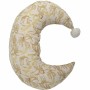 Coussin Domiva Lisse
