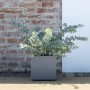 Plant pot Deroma Grey 25 cm Plastic Squared Bucket Ø 25 cm