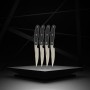 Knife Set Nirosta Stainless steel 4 Pieces