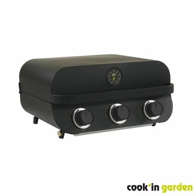 Barbecue Portable Cook'in Garden Métal 60 x 40 cm
