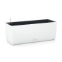 Plant pot Lechuza White Black polypropylene