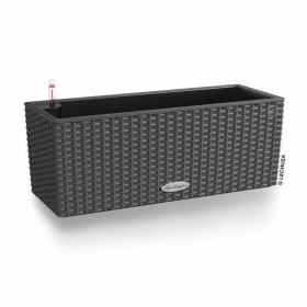 Pot Lechuza Noir Gris polypropylène