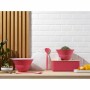 Mixing Bowl Bodum Topee Pink 3 L 4,9 L 2 Units