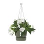 Jardinière suspendue Elho Greenville Ø 23,9 x 20,3 cm Vert