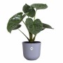 Plant pot Elho Jazz White Lilac Plastic Circular 3 Pieces