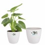 Set de pots Elho Blanc Plastique Rond 2 Pièces