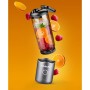 Cup Blender Nutribullet NBP013GM Grey 600 ml