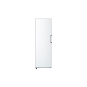 Congélateur LG GFT41SWGSZ Blanc 324 L