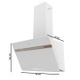 Hotte standard Cecotec Flux DT 607500 Blanc