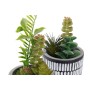 Decorative Plant DKD Home Decor Ceramic Black Polyethylene White Green (7 x 7 x 19 cm) (2 Units)