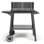 Barbecue Portable Livoo Stainless steel
