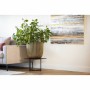 Planter Capi Europe GROVVE Black Golden Plastic Ø 43 cm