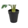 Decorative Plant DKD Home Decor Green PE (20 x 20 x 40 cm)
