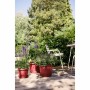 Plant pot Elho Amiga Round 40 Red rouge 39 x 29 cm