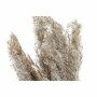 Decorative Plant DKD Home Decor PVC Feathers Natural 35 x 25 x 55 cm (2 Units)