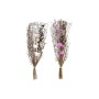 Bunch DKD Home Decor Pink Brown White Dried flower (2 Units) (30 x 30 x 65 cm)