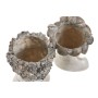 Planter Home ESPRIT Grey Resin Face Shabby Chic 18 x 15 x 23 cm (2 Units)