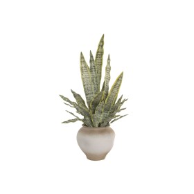 Decorative Plant Home ESPRIT Polyethylene