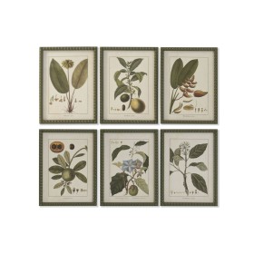 Cadre Home ESPRIT Verre Sapin 30 x 2,5 x 40 cm (6 Unités)