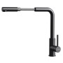 Mixer Tap Teka Black Stainless steel