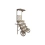 Multi-purpose Cart DKD Home Decor Garden Shop Brown 96 x 64 x 180 cm