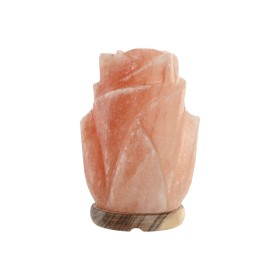 Desk lamp Home ESPRIT Pink 15 W 220 V