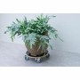 Flowerpot Standt with Wheels Nature Wood Ø 38 cm