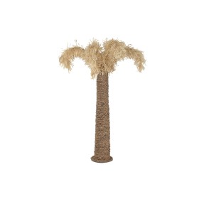 Decorative Figure Home ESPRIT Natural Tropical Palm tree