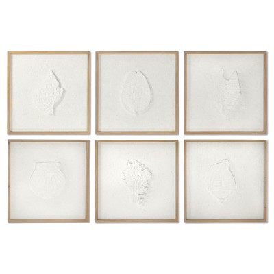 Cadre DKD Home Decor Coquillages 50 x 2 x 50 cm méditerranéen (6 Pièces)