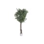 Arbre Home ESPRIT Polyester Bois Figuier des banians