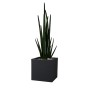 Jardinière EDA polypropylène Plastique Rectangulaire (Reconditionné B)