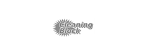 Cleaning Block Cleaning Block