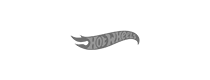 Hot Wheels Hot Wheels