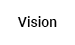 Vision